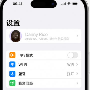 麻栗坡appleID维修服务iPhone设置中Apple ID显示为灰色无法使用 