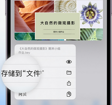 麻栗坡apple维修中心分享iPhone文件应用中存储和找到下载文件