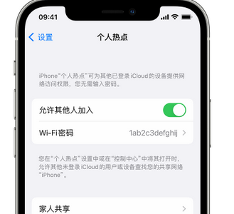 麻栗坡apple服务站点分享iPhone上个人热点丢失了怎么办 