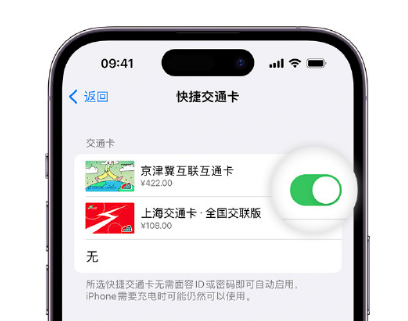 麻栗坡apple维修点分享iPhone上更换Apple Pay快捷交通卡手绘卡面 