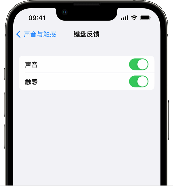 麻栗坡苹果14维修店分享如何在 iPhone 14 机型中使用触感键盘 