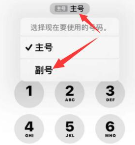 麻栗坡苹果14维修店分享iPhone 14 Pro Max使用副卡打电话的方法 