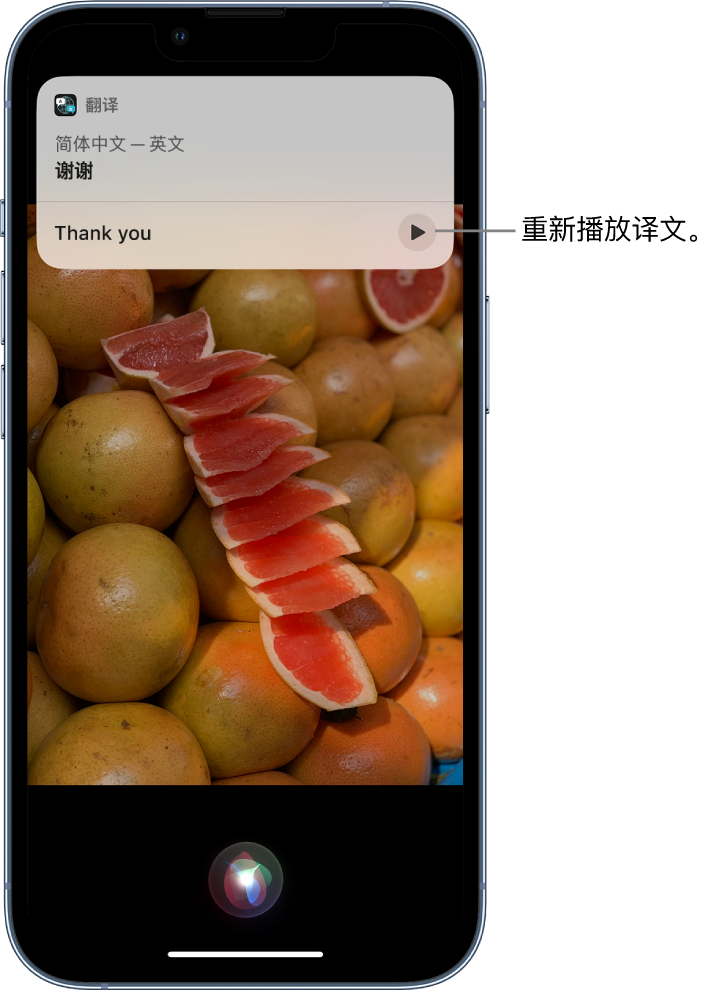 麻栗坡苹果14维修分享 iPhone 14 机型中使用 Siri：了解 Siri 能帮你做什么 