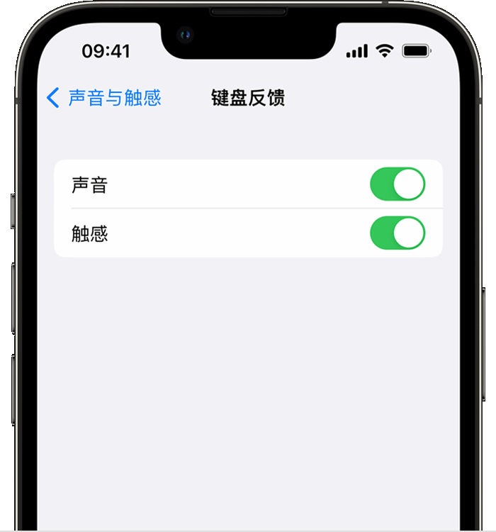 麻栗坡苹果14维修分享iPhone 14 系列机型如何开启键盘声音或触感反馈 