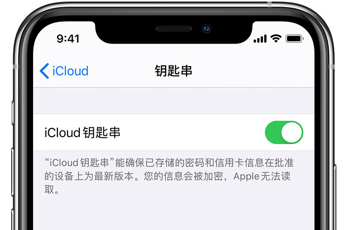 麻栗坡苹果手机维修分享在 iPhone 上开启 iCloud 钥匙串之后会储存哪些信息 