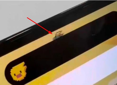 麻栗坡苹果14维修分享iPhone 14 Pro Max灵动岛怎么养宠物 