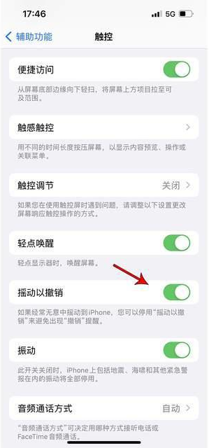 麻栗坡苹果手机维修分享iPhone手机如何设置摇一摇删除文字 