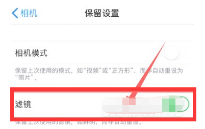 麻栗坡苹果13维修分享iPhone13拍照有绿点是怎么回事 