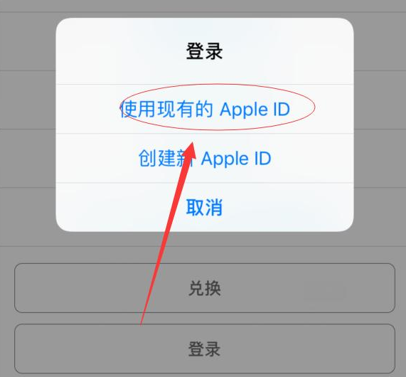 麻栗坡苹果手机维修分享两台iPhone设备可以同时登录一个Apple ID吗 