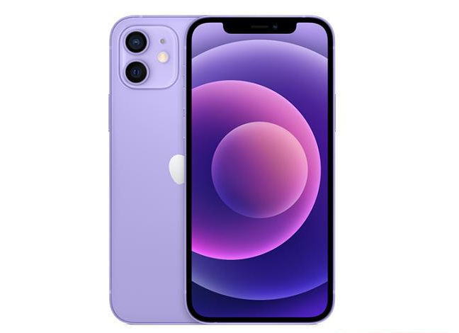 麻栗坡苹果手机维修分享现阶段要不要入手紫色版iPhone12 