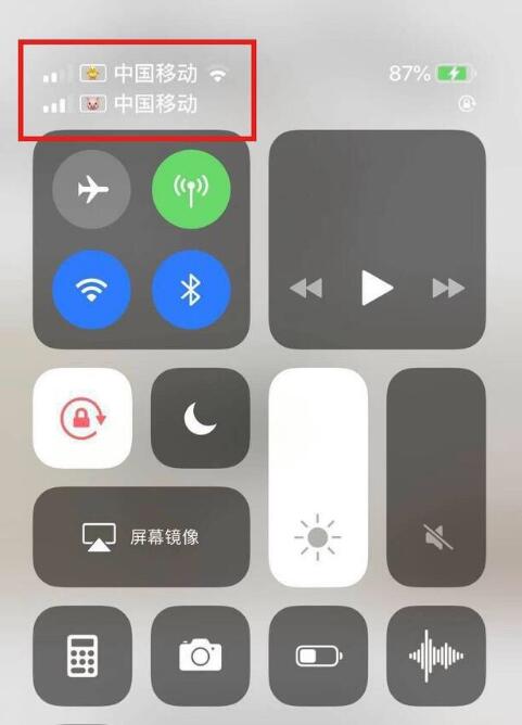 麻栗坡苹果手机维修分享为 iPhone 12 双卡设置标签 