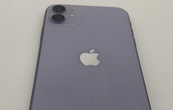 麻栗坡苹果11系统维修分享iPhone11手机系统崩溃无法开机如何解决 
